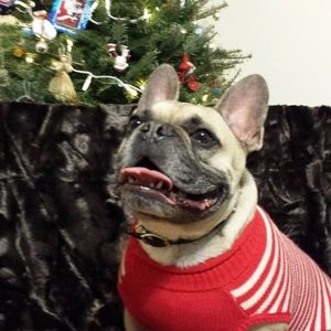 Meet your Posher, Genevieve